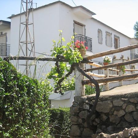 Alojamiento Rural Mirador Del Avellano Alpujarra De La Sierra Exterior photo