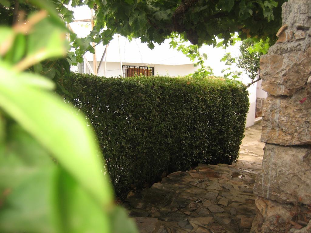 Alojamiento Rural Mirador Del Avellano Alpujarra De La Sierra Exterior photo